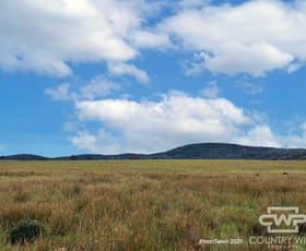 Rural / Farming commercial property for sale at 989 South Valley Road Rocky Creek NSW 2371