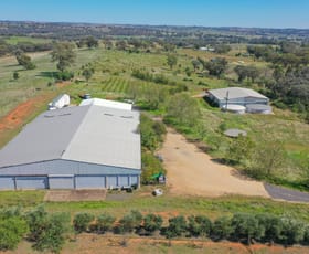 Rural / Farming commercial property for sale at 285 Henry Lawson Way Young NSW 2594