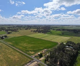 Rural / Farming commercial property for sale at 78 Nicholson Lane Kotta VIC 3565 Rural / Farming commercial property for sale at 78 Nicholson Lane Kotta VIC 3565