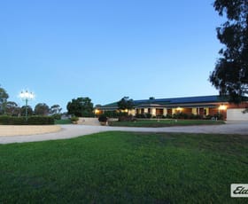 Rural / Farming commercial property for sale at 328 Bendigo - Maldon Road Lockwood South VIC 3551