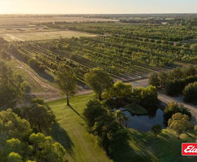 Rural / Farming commercial property for sale at 124 Farley Road Echuca VIC 3564