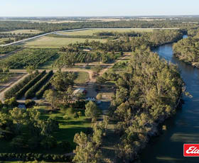 Rural / Farming commercial property for sale at 124 Farley Road Echuca VIC 3564