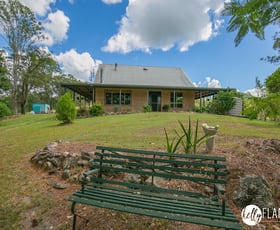 Rural / Farming commercial property for sale at 111 Brassils Creek Road Toorooka NSW 2440