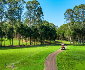 Rural / Farming commercial property for sale at 730 Lismore Road Nashua NSW 2479