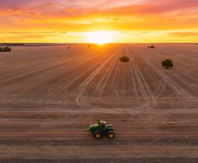 Rural / Farming commercial property for sale at 'Trenayr' & 'Nanima' 2022 Terry Hie Hie Road Moree NSW 2400