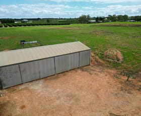 Rural / Farming commercial property for sale at 124 Carleton Road Sunlands SA 5322 Rural / Farming commercial property for sale at 124 Carleton Road Sunlands SA 5322