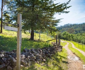 Rural / Farming commercial property for sale at 613 New Buildings Road Wyndham NSW 2550