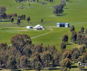 Rural / Farming commercial property for sale at 1186 Derrinal-Crosbie Road Toolleen VIC 3551 Rural / Farming commercial property for sale at 1186 Derrinal-Crosbie Road Toolleen VIC 3551