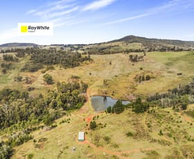 Rural / Farming commercial property for sale at 755 Old Tumbarumba road Adelong NSW 2729 Rural / Farming commercial property for sale at 755 Old Tumbarumba road Adelong NSW 2729