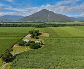 Rural / Farming commercial property for sale at 280 Highleigh Road Gordonvale QLD 4865