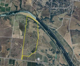 Rural / Farming commercial property for sale at 808 Pine Creek Road Givelda QLD 4670
