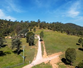 Rural / Farming commercial property for sale at 246-274 Rasmussen Road Neurum QLD 4514