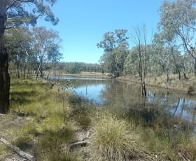 Rural / Farming commercial property for sale at 1025 Castlereagh Highway Dunedoo NSW 2844