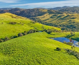 Rural / Farming commercial property for sale at 110 Blacks Road Dalrymple Heights QLD 4757