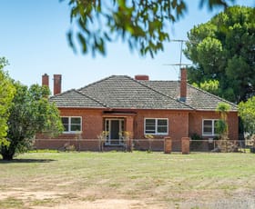 Rural / Farming commercial property for sale at 1127 Grubben Road Henty NSW 2658