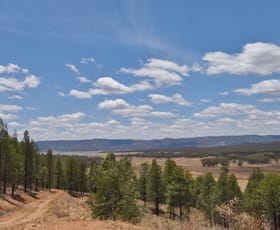Rural / Farming commercial property sold at 318 Tara Road MUMBIL via Wellington NSW 2820