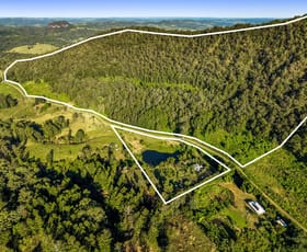 Rural / Farming commercial property for sale at 181 Lindsay Road Larnook NSW 2480