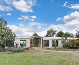 Rural / Farming commercial property for sale at 16 Lex Lane Thurgoona NSW 2640