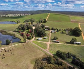 Rural / Farming commercial property for sale at 985 Ferny Hill Road Bridport TAS 7262