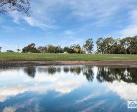 Rural / Farming commercial property for sale at 30 Phillips Road Taradale VIC 3447