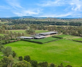 Rural / Farming commercial property for sale at 504 Sidonia Road Sidonia VIC 3444