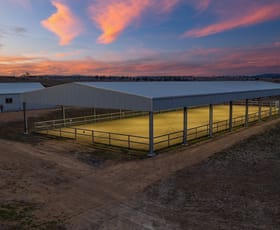 Rural / Farming commercial property for sale at 1453 Enmore Road Armidale NSW 2350