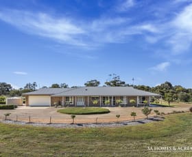 Rural / Farming commercial property for sale at 58 Rathjen Road Palmer SA 5237