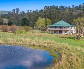 Rural / Farming commercial property for sale at 1050 Afterlee Road Eden Creek NSW 2474 Rural / Farming commercial property for sale at 1050 Afterlee Road Eden Creek NSW 2474