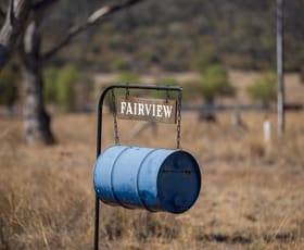 Rural / Farming commercial property for sale at 823 Eulourie Road Bingara NSW 2404