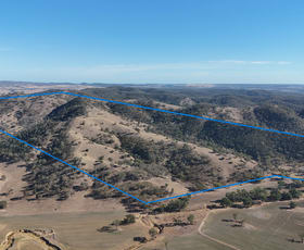 Rural / Farming commercial property for sale at Gulgong NSW 2852