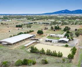 Rural / Farming commercial property for sale at 55 William Road Little River VIC 3211