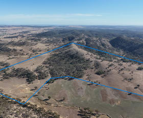 Rural / Farming commercial property for sale at Gulgong NSW 2852