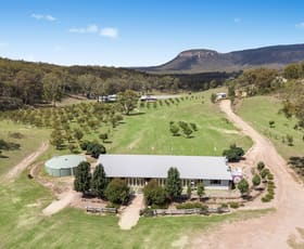 Rural / Farming commercial property for sale at 345 Bylong Valley Way Mudgee NSW 2850