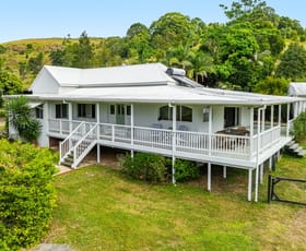 Rural / Farming commercial property for sale at 445 Cosy Camp Road Corndale NSW 2480