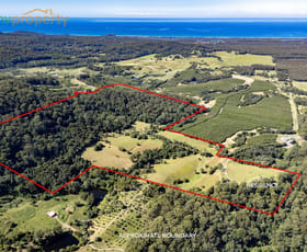 Rural / Farming commercial property for sale at 145 Hunters Road Yarrahapinni NSW 2441