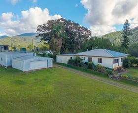 Rural / Farming commercial property for sale at 40 Ready Money Road Upper Rollands Plains NSW 2441