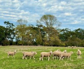 Rural / Farming commercial property for sale at 331 Nehill & Alexanders Road South Purrumbete VIC 3260