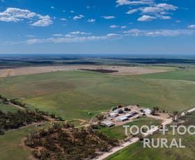Rural / Farming commercial property for sale at 891 Brownlow Road Brownlow SA 5374
