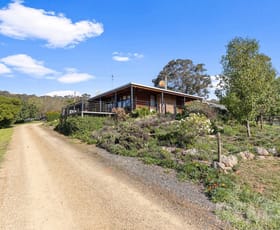 Rural / Farming commercial property for sale at 1134 Pulletop Road Big Springs NSW 2650
