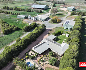 Rural / Farming commercial property for sale at 584 Strathallan Road Echuca VIC 3564