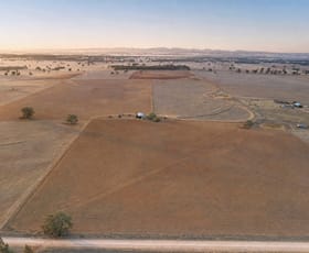 Rural / Farming commercial property for sale at Caruba, 176 Uphills Lane Purlewaugh NSW 2357