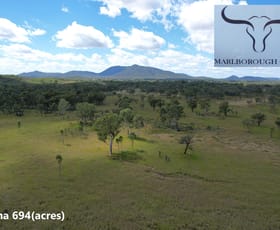 Rural / Farming commercial property for sale at 247 Glenprairie Road Marlborough QLD 4705