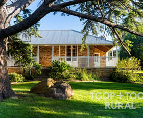 Rural / Farming commercial property for sale at 308 Sawpit Gully Road Keyneton SA 5353