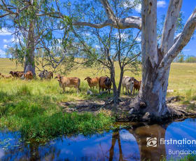 Rural / Farming commercial property for sale at 1/ Stebhens Road Bungadoo QLD 4671