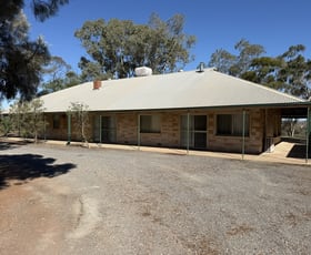 Rural / Farming commercial property for sale at 271 Nelshaby Road Napperby SA 5540