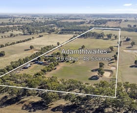 Rural / Farming commercial property for sale at 1314 Shelbourne Newbridge Road Shelbourne VIC 3515