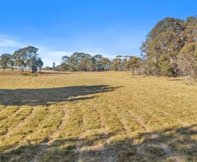 Rural / Farming commercial property for sale at 236 Hanrahans Lane Black Springs NSW 2787