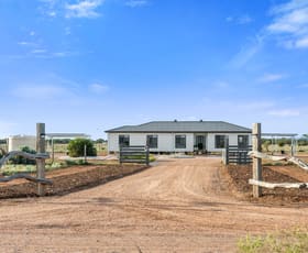 Rural / Farming commercial property for sale at 98 Keeley Road Port Germein SA 5495