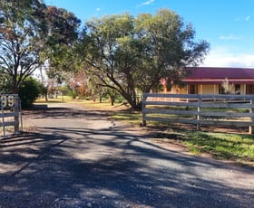 Rural / Farming commercial property for sale at 99 Harris Road Nyah West VIC 3595