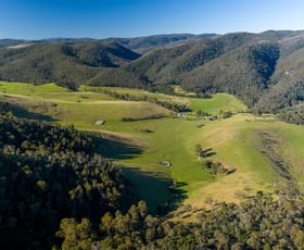 Rural / Farming commercial property for sale at 1551 Gelantipy Road Murrindal VIC 3885